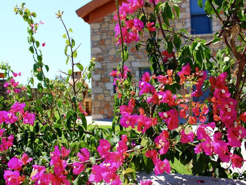 Estrella Villas Lardos Zewnętrze zdjęcie