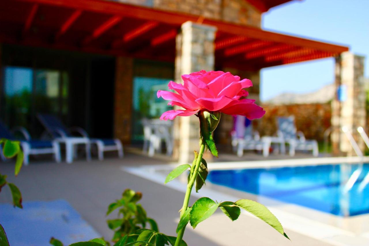 Estrella Villas Lardos Pokój zdjęcie